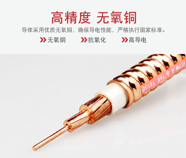 礦物質(zhì)電纜-YTTW_05.jpg