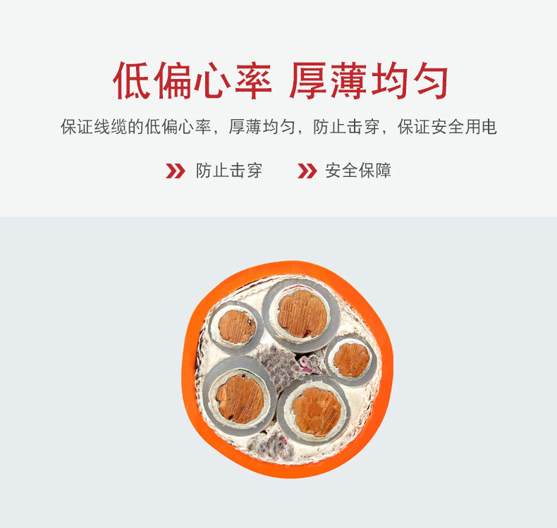 礦物質(zhì)電纜-BBTRZ_06.jpg