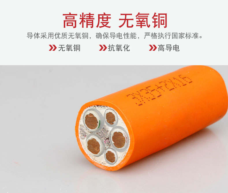 礦物質(zhì)電纜-BBTRZ_05.jpg