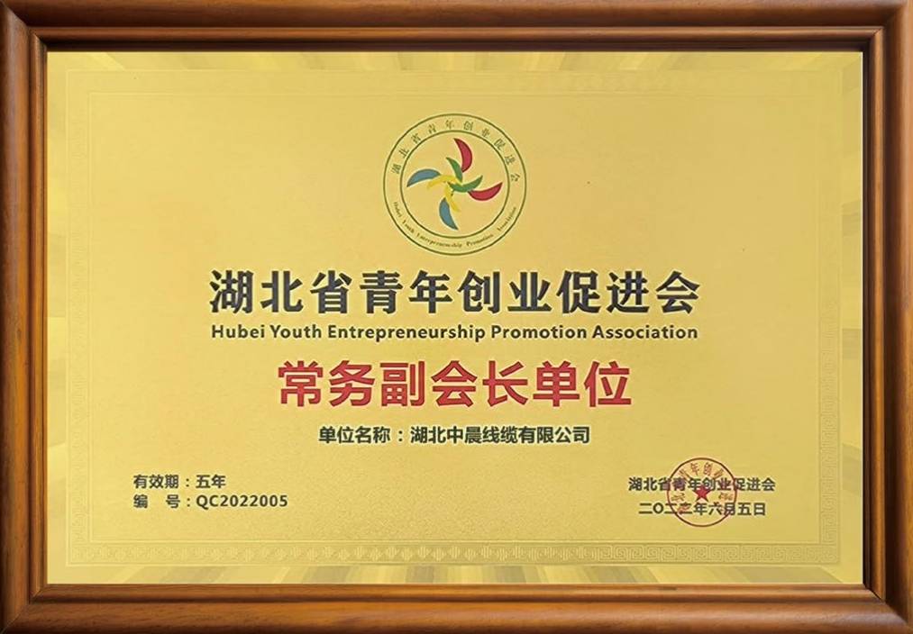 湖北中晨線纜有限公司湖北省青年創(chuàng)業(yè)促進會 常務副會長單位.png